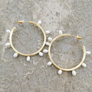 Kendra Scott Gold White Pearl Leighton Hoop Earrings NEW w/dust bag